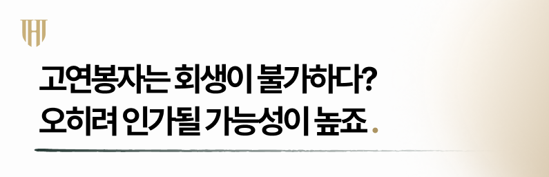 고연봉자 개인회생 오히려 인가 가능성이 높은 이유